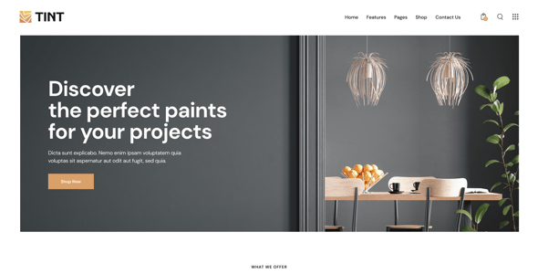 Tint - Renovation, Painting & Wallpapering WordPress Theme